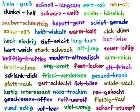 454290237 900680725439598 2260712256849225633 n