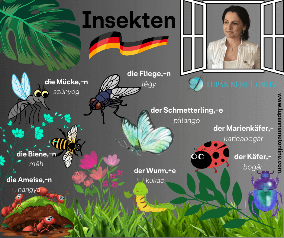 Insekten 1