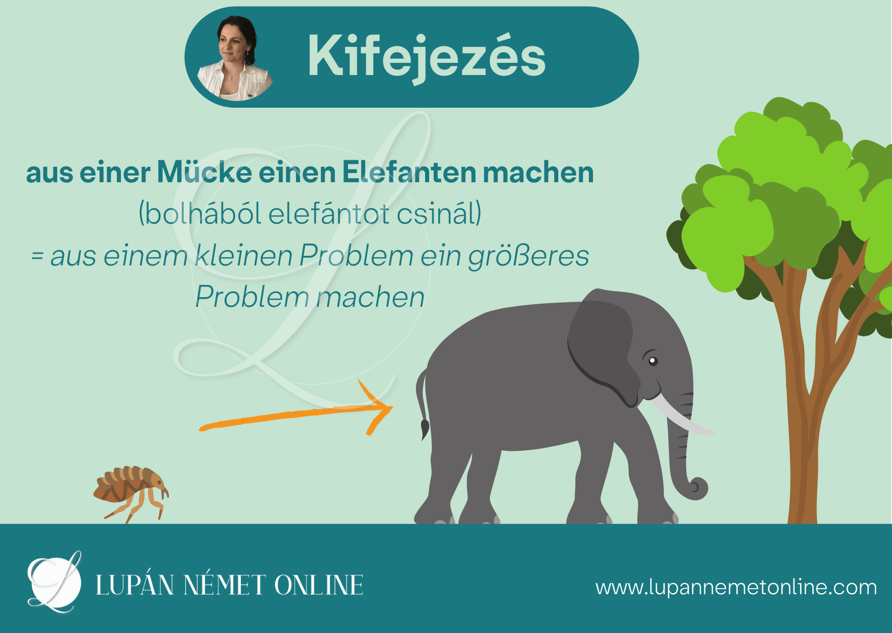 bolhabol_elefant