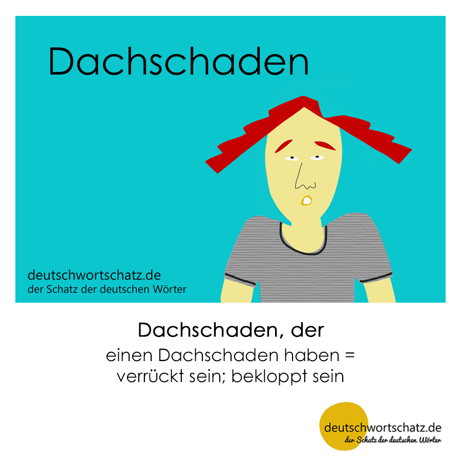 dachschaden