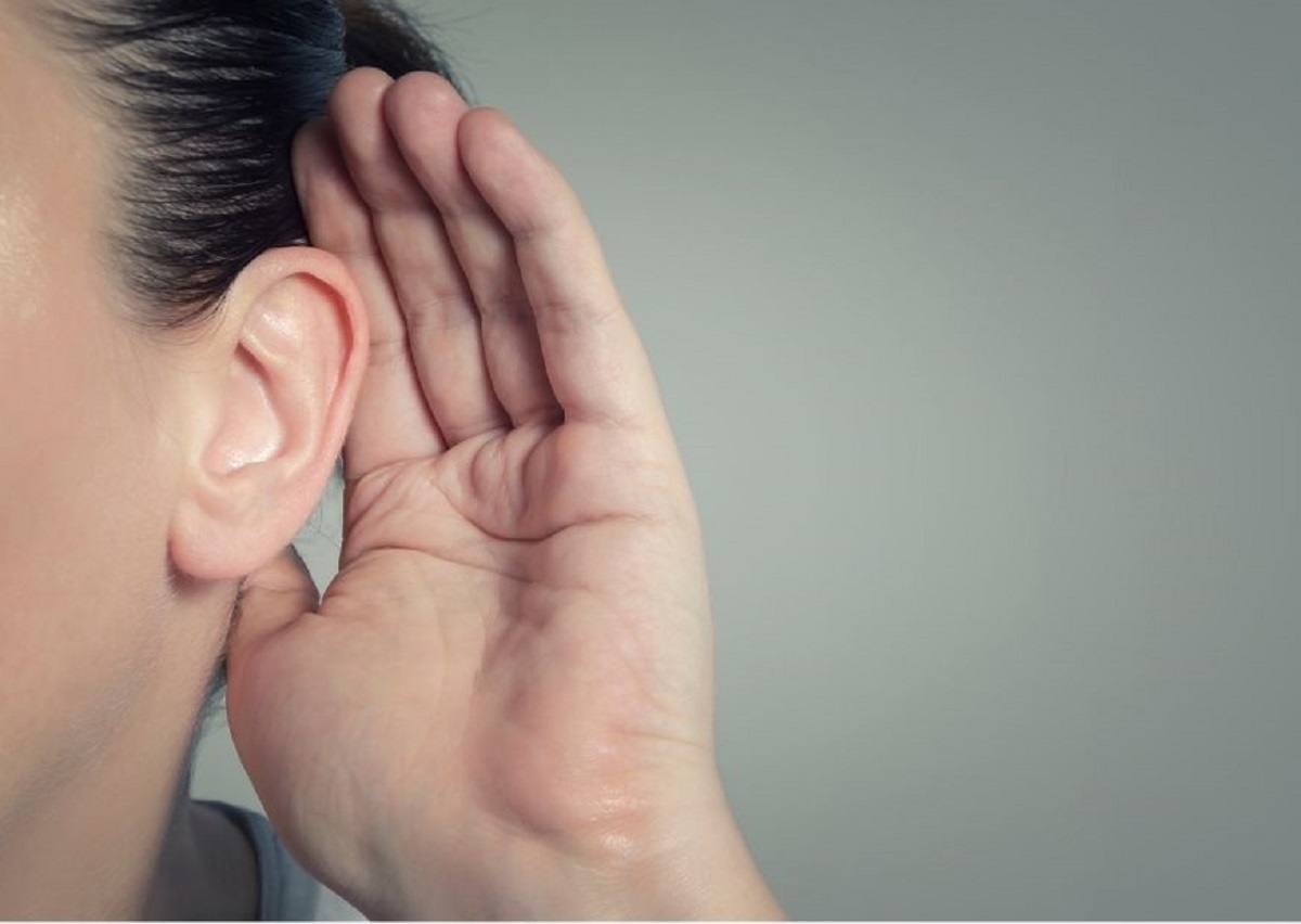 érzékszervek hallás