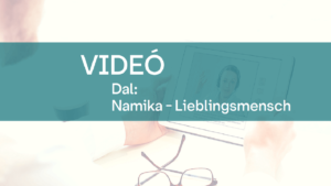 video_dal_Namika_Lieblingsmensch-1